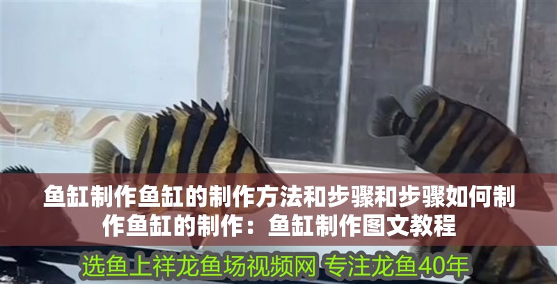 魚缸制作魚缸的制作方法和步驟和步驟如何制作魚缸的制作：魚缸制作圖文教程