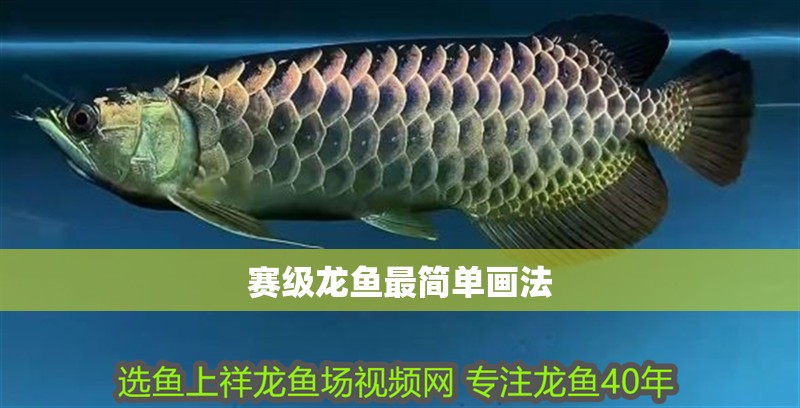 賽級龍魚最簡單畫法