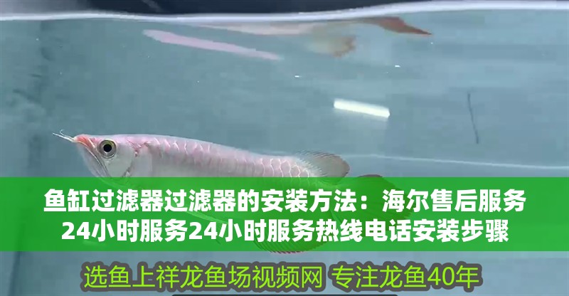 魚缸過濾器過濾器的安裝方法：海爾售后服務24小時服務24小時服務熱線電話安裝步驟