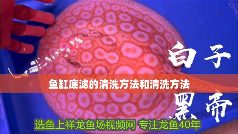 魚缸底濾的清洗方法和清洗方法