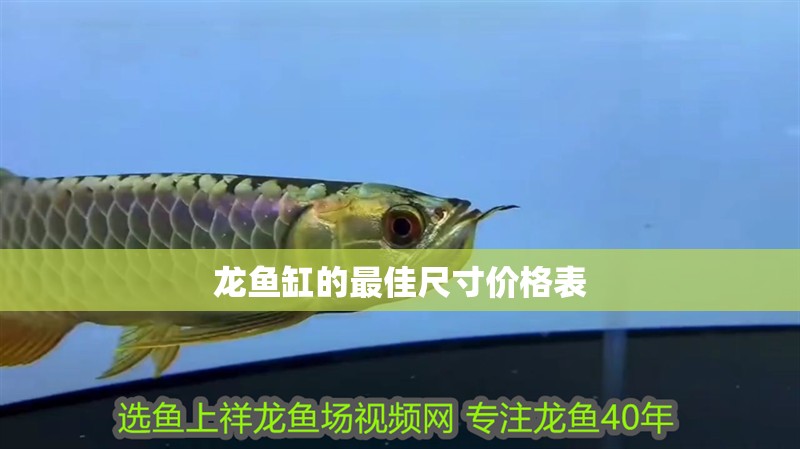 龍魚缸的最佳尺寸價格表 龍魚缸的最佳尺寸價格表 龍魚百科