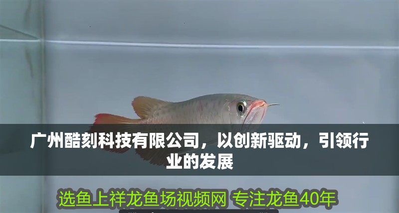 廣州酷刻科技有限公司，以創新驅動，引領行業的發展