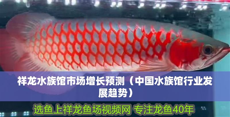 祥龍水族館市場增長預測（中國水族館行業發展趨勢）