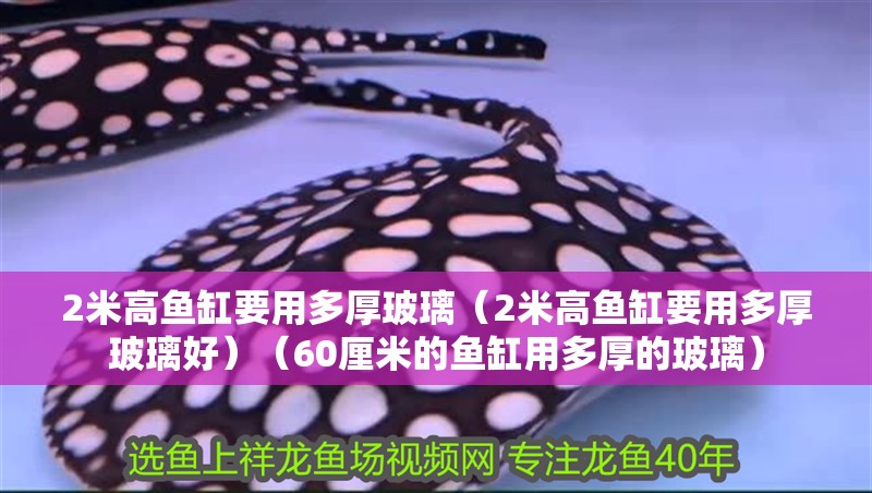 2米高魚缸要用多厚玻璃（2米高魚缸要用多厚玻璃好）（60厘米的魚缸用多厚的玻璃） 2米高魚缸要用多厚玻璃（2米高魚缸要用多厚玻璃好）（60厘米的魚缸用多厚的玻璃） 魚缸百科
