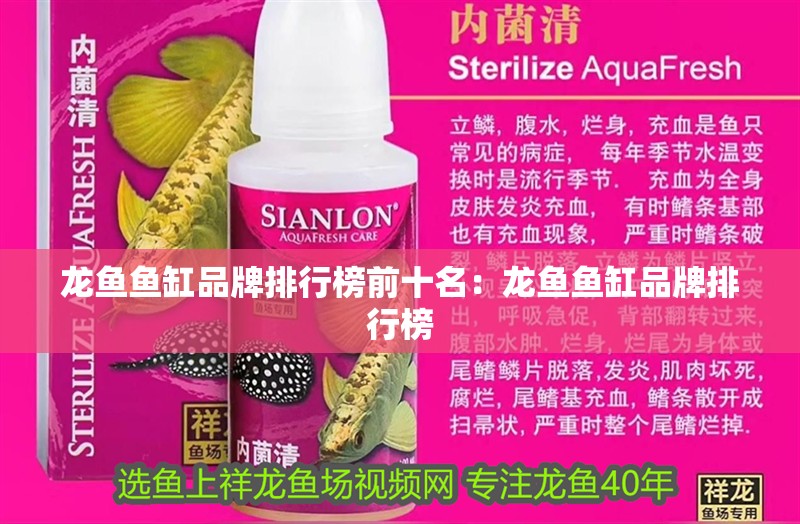 龍魚魚缸品牌排行榜前十名：龍魚魚缸品牌排行榜