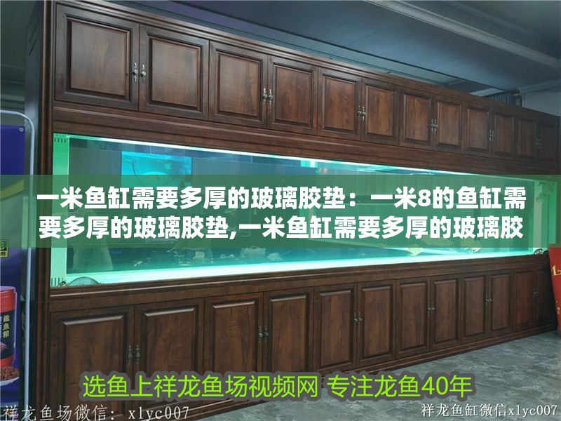 魚缸用增氧泵價格是多少:魚缸增氧機(jī)-xtrac增氧機(jī)-xtrac增氧機(jī) 一米魚缸需要多厚的玻璃膠墊:一米8的魚缸需要多厚的玻璃膠墊,一米魚缸需要多厚的玻璃膠墊 魚缸百科 一米魚缸需要多厚的玻璃膠墊:一米8的魚缸需要多厚的玻璃膠墊,一米魚缸需要多厚的玻璃膠墊 一米魚缸需要多厚的玻璃膠墊:一米8的魚缸需要多厚的玻璃膠墊,一米魚缸需要多厚的玻璃膠墊 魚缸百科