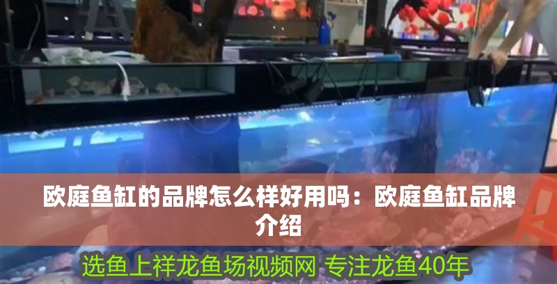 歐庭魚缸的品牌怎么樣好用嗎：歐庭魚缸品牌介紹
