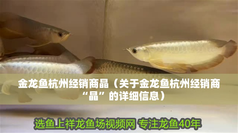 金龍魚杭州經(jīng)銷商晶（關(guān)于金龍魚杭州經(jīng)銷商“晶”的詳細(xì)信息）