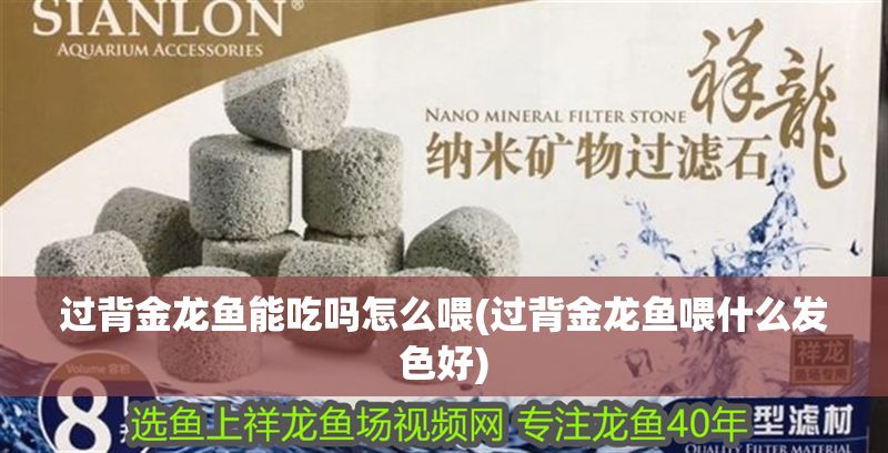過背金龍魚能吃嗎怎么喂(過背金龍魚喂什么發色好)