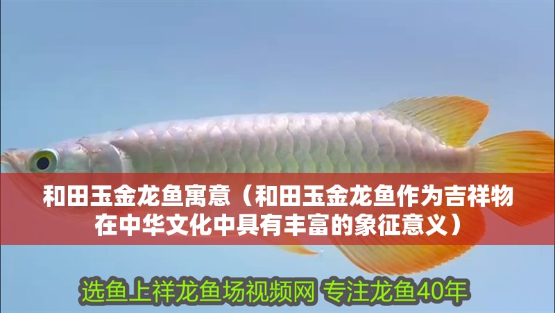 和田玉金龍魚寓意（和田玉金龍魚作為吉祥物在中華文化中具有豐富的象征意義）