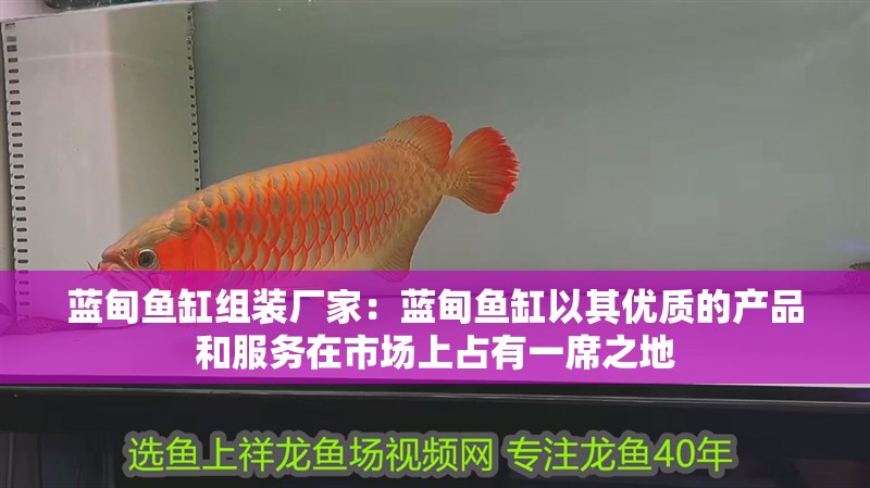 藍甸魚缸組裝廠家：藍甸魚缸以其優(yōu)質(zhì)的產(chǎn)品和服務(wù)在市場上占有一席之地