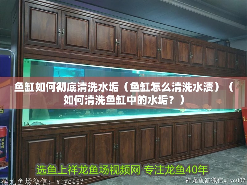 魚缸如何徹底清洗水垢（魚缸怎么清洗水漬）（如何清洗魚缸中的水垢？） 魚缸如何徹底清洗水垢（魚缸怎么清洗水漬）（如何清洗魚缸中的水垢？） 魚缸百科
