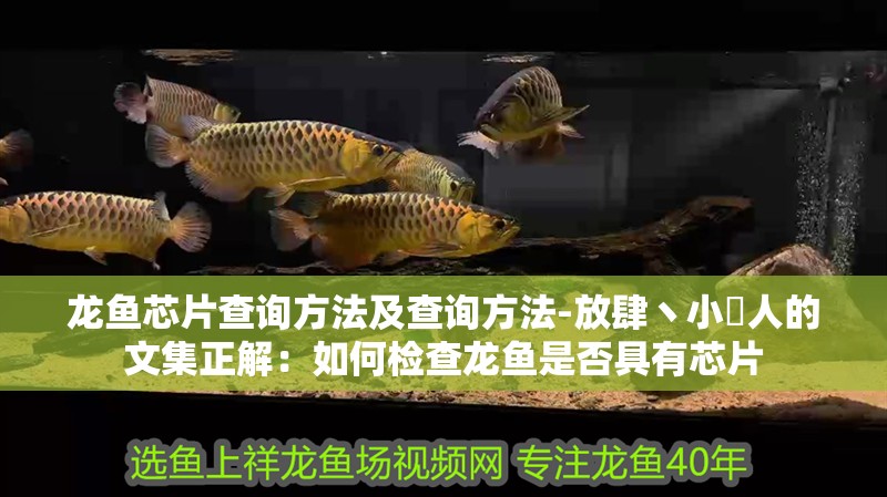 龍魚芯片查詢方法及查詢方法-放肆丶小侽人的文集正解：如何檢查龍魚是否具有芯片