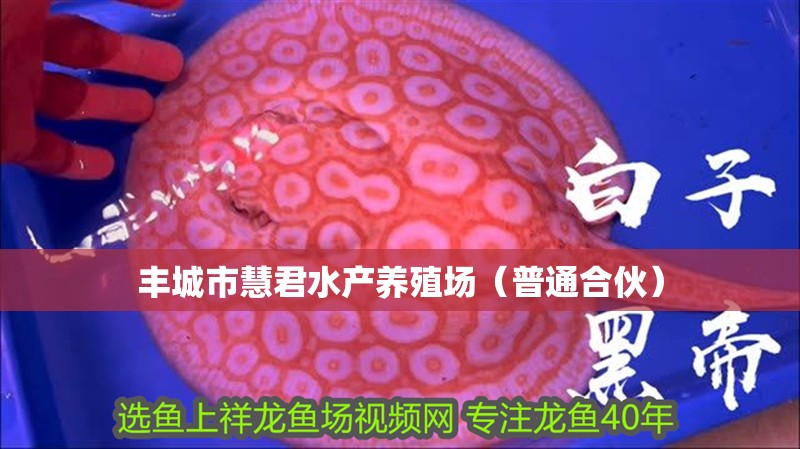 豐城市慧君水產(chǎn)養(yǎng)殖場(chǎng)（普通合伙）