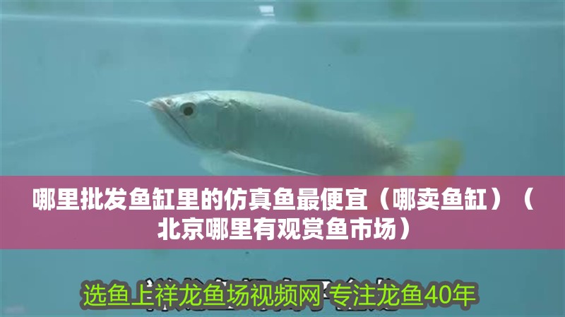 哪里批發魚缸里的仿真魚最便宜（哪賣魚缸）（北京哪里有觀賞魚市場）