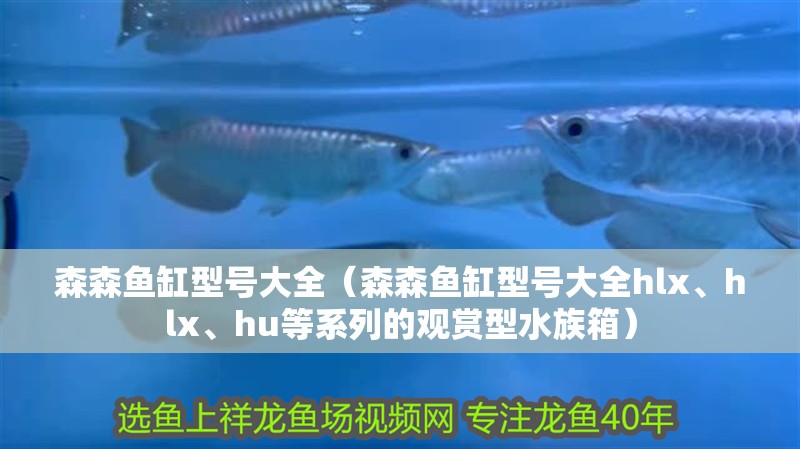 森森魚缸型號大全（森森魚缸型號大全hlx、hlx、hu等系列的觀賞型水族箱）