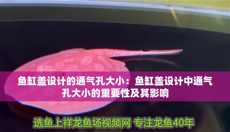 魚缸蓋設計的通氣孔大小：魚缸蓋設計中通氣孔大小的重要性及其影響