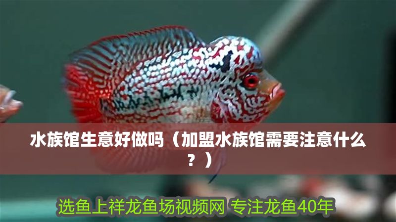 水族館生意好做嗎（加盟水族館需要注意什么？） 水族館生意好做嗎（加盟水族館需要注意什么？） 水族館百科（水族館加盟） 第1張