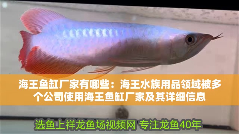 海王魚缸廠家有哪些：海王水族用品領域被多個公司使用海王魚缸廠家及其詳細信息