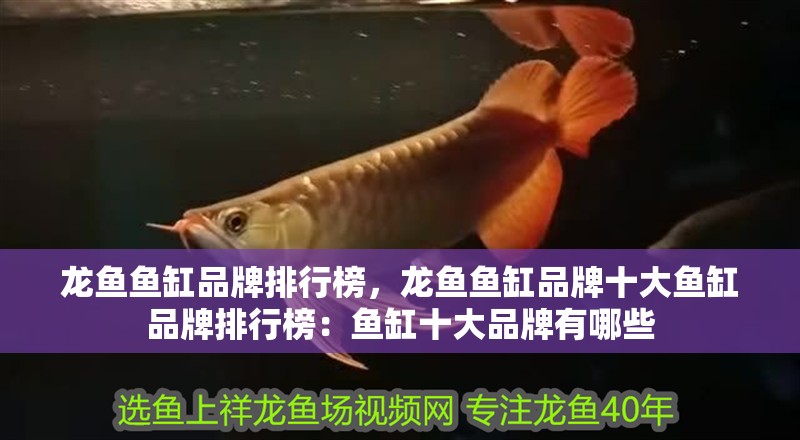 龍魚魚缸品牌排行榜，龍魚魚缸品牌十大魚缸品牌排行榜：魚缸十大品牌有哪些