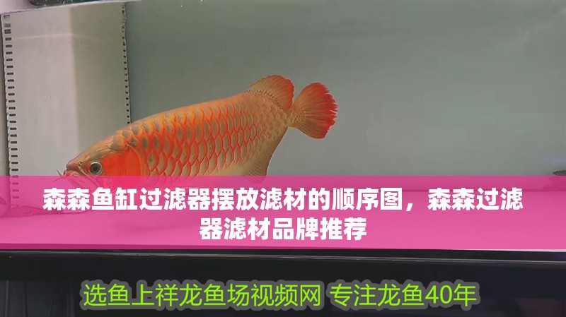 森森魚缸過濾器擺放濾材的順序圖，森森過濾器濾材品牌推薦