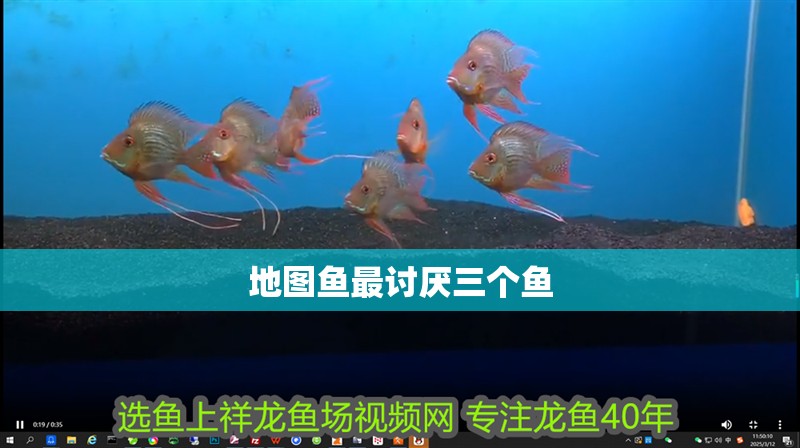 地圖魚最討厭三個魚