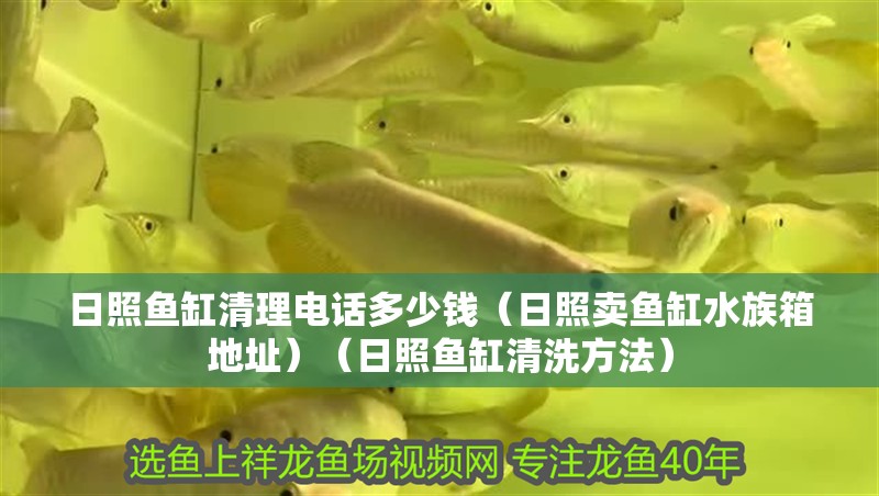 日照魚缸清理電話多少錢（日照賣魚缸水族箱地址）（日照魚缸清洗方法）