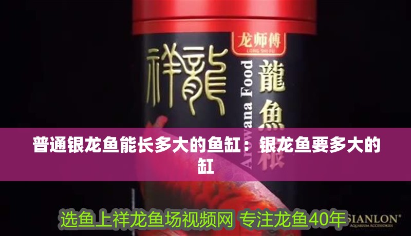 魚缸過濾器選購指南:自制魚缸過濾器魚缸上置過濾器對于養魚愛好者的必備知識 普通銀龍魚能長多大的魚缸:銀龍魚要多大的缸 銀龍魚百科 普通銀龍魚能長多大的魚缸:銀龍魚要多大的缸 普通銀龍魚能長多大的魚缸:銀龍魚要多大的缸 銀龍魚百科