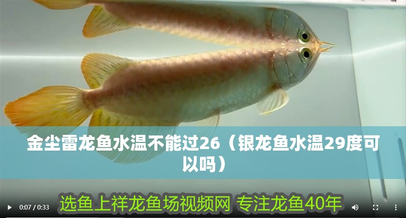 魚缸用增氧泵價格是多少:魚缸增氧機-xtrac增氧機-xtrac增氧機 金塵雷龍魚水溫不能過26(銀龍魚水溫29度可以嗎) 銀龍魚百科 金塵雷龍魚水溫不能過26(銀龍魚水溫29度可以嗎) 金塵雷龍魚水溫不能過26(銀龍魚水溫29度可以嗎) 銀龍魚百科