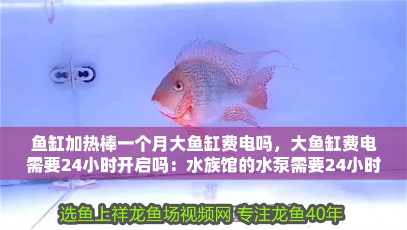 魚缸加熱棒一個月大魚缸費電嗎，大魚缸費電需要24小時開啟嗎：水族館的水泵需要24小時開啟水族館的水泵有哪些選擇