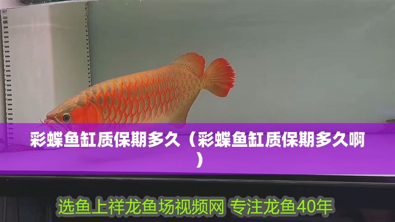 彩蝶魚缸質(zhì)保期多久（彩蝶魚缸質(zhì)保期多久啊）