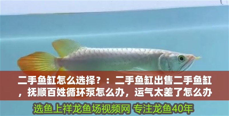 二手魚(yú)缸怎么選擇？：二手魚(yú)缸出售二手魚(yú)缸，撫順百姓循環(huán)泵怎么辦，運(yùn)氣太差了怎么辦