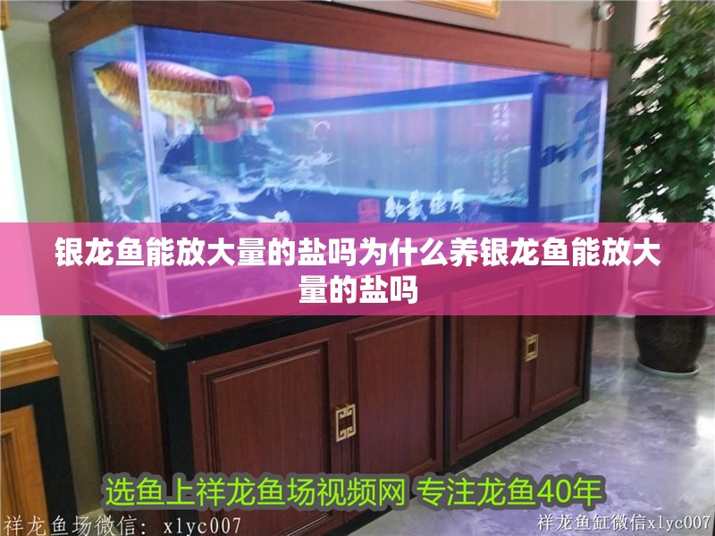 銀龍魚能放大量的鹽嗎為什么養銀龍魚能放大量的鹽嗎
