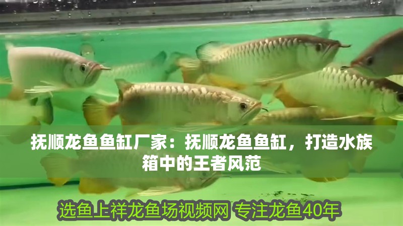 撫順龍魚魚缸廠家：撫順龍魚魚缸，打造水族箱中的王者風范