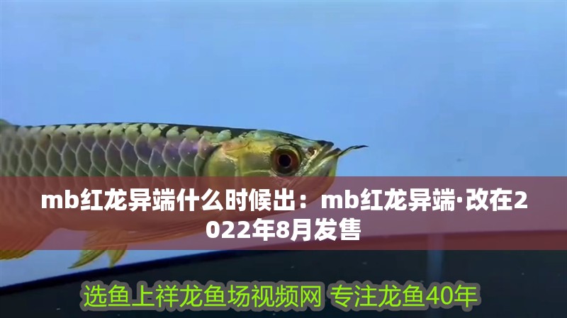 mb紅龍異端什么時(shí)候出：mb紅龍異端·改在2022年8月發(fā)售