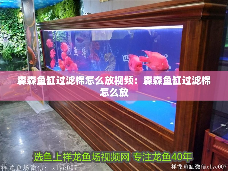 魚缸過濾器選購指南:自制魚缸過濾器魚缸上置過濾器對于養魚愛好者的必備知識 森森魚缸過濾棉怎么放視頻:森森魚缸過濾棉怎么放 魚缸百科 森森魚缸過濾棉怎么放視頻:森森魚缸過濾棉怎么放 森森魚缸過濾棉怎么放視頻:森森魚缸過濾棉怎么放 魚缸百科