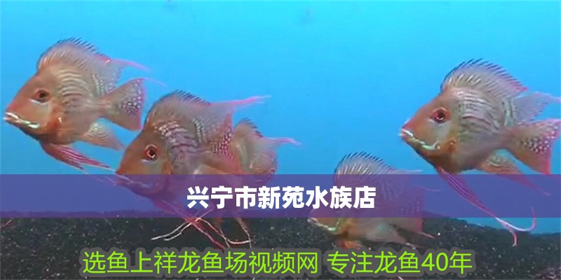 興寧市新苑水族店
