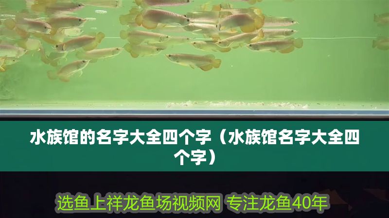 水族館的名字大全四個字（水族館名字大全四個字）