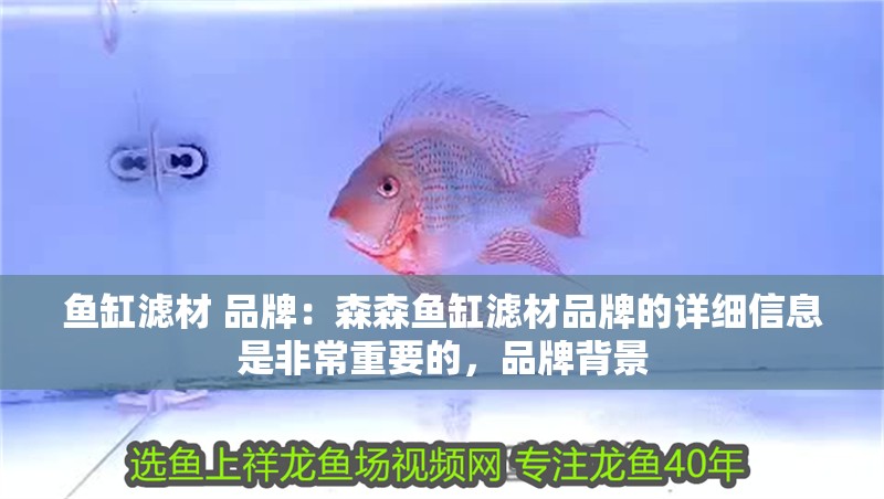 魚缸濾材 品牌：森森魚缸濾材品牌的詳細信息是非常重要的，品牌背景 魚缸濾材 品牌：森森魚缸濾材品牌的詳細信息是非常重要的，品牌背景 魚缸百科