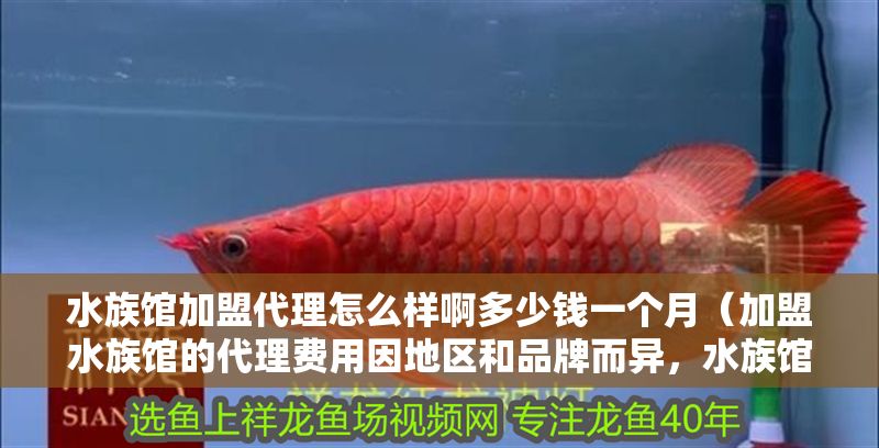 水族館加盟代理怎么樣啊多少錢一個月（加盟水族館的代理費用因地區和品牌而異，水族館市場調研方法介紹）