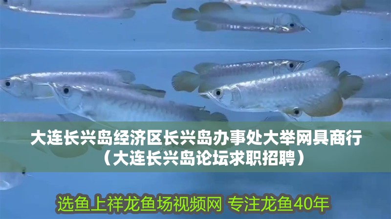 大連長興島經濟區長興島辦事處大舉網具商行（大連長興島論壇求職招聘）