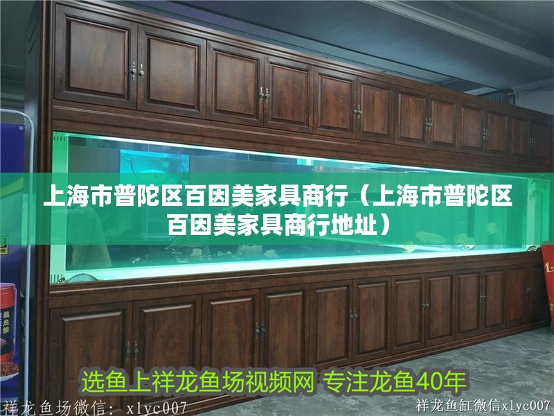 上海市普陀區百因美家具商行（上海市普陀區百因美家具商行地址）