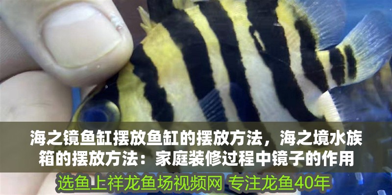 海之鏡魚缸擺放魚缸的擺放方法，海之境水族箱的擺放方法：家庭裝修過程中鏡子的作用