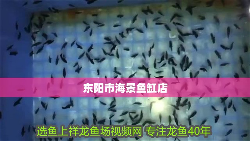 東陽市海景魚缸店