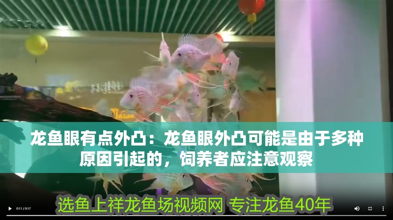 龍魚眼有點外凸：龍魚眼外凸可能是由于多種原因引起的，飼養者應注意觀察