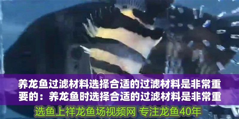 養龍魚過濾材料選擇合適的過濾材料是非常重要的：養龍魚時選擇合適的過濾材料是非常重要的，不僅關系到水質穩定