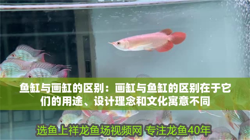 魚缸與畫缸的區(qū)別：畫缸與魚缸的區(qū)別在于它們的用途、設(shè)計理念和文化寓意不同
