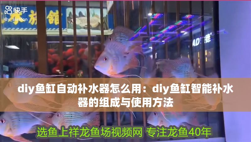diy魚缸自動補水器怎么用:diy魚缸智能補水器的組成與使用方法 魚缸百科 第2張 diy魚缸自動補水器怎么用:diy魚缸智能補水器的組成與使用方法 diy魚缸自動補水器怎么用:diy魚缸智能補水器的組成與使用方法 魚缸百科 第2張