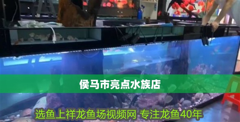 侯馬市亮點(diǎn)水族店