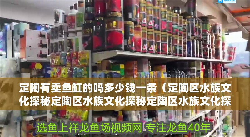 定陶有賣魚缸的嗎多少錢一條（定陶區(qū)水族文化探秘定陶區(qū)水族文化探秘定陶區(qū)水族文化探秘）